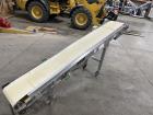 Titan Industries Incline Conveyor